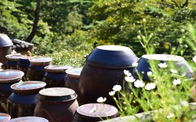 My Experience in Home to Home