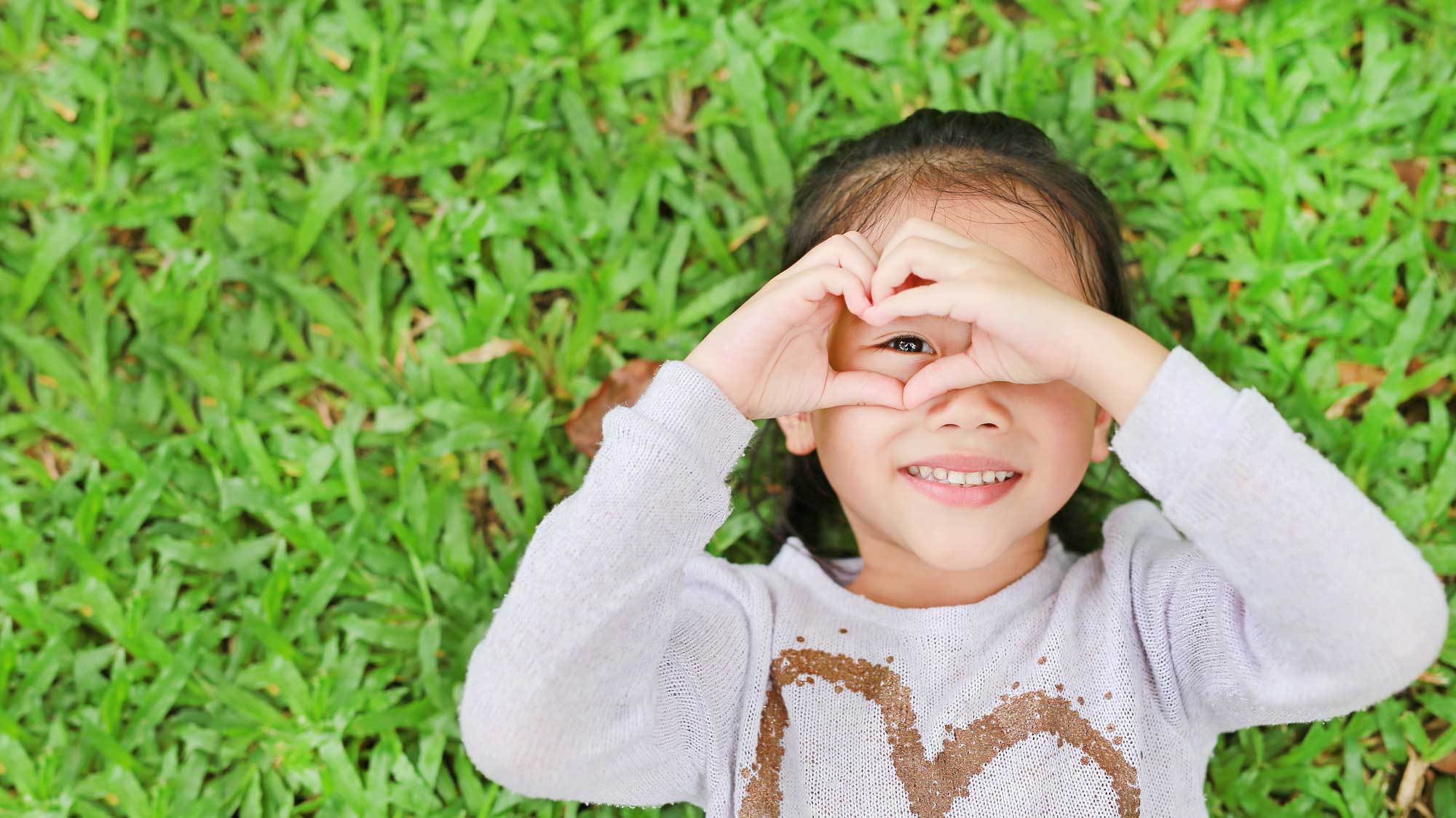 Korean Heritage Adoption Program