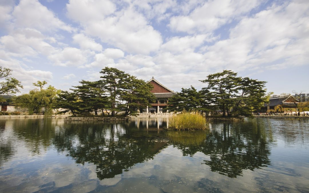 Home to Home 2019 – Program for Korean Adoptees